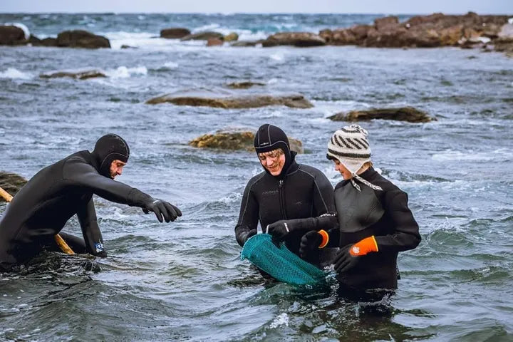 Thanks To Seaweed, A Family in Rural Newfoundland Supports Community Through Pandemic